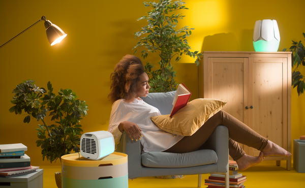 Polar Breeze Portable Air Cooler Reviews & Alternatives